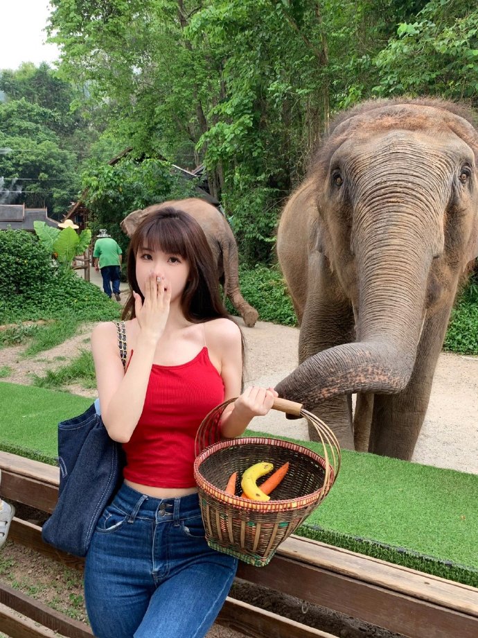 红辣椒